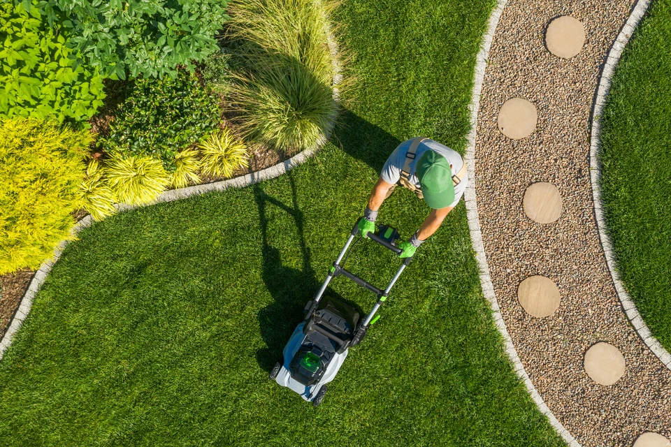 Un jardinier en chemise rouge et chapeau taille une haie dense depuis un escabeau dans un jardin paysager