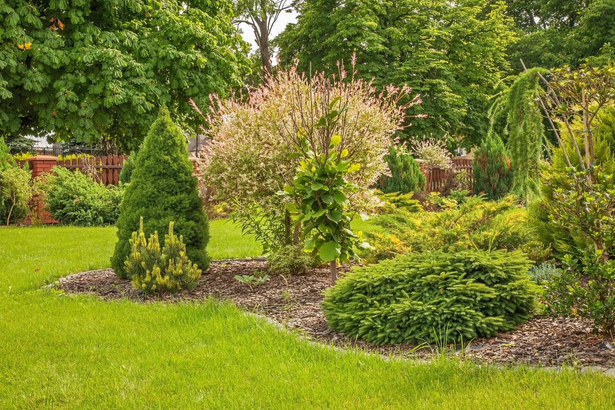 Jardin paysager extérieur avec bassin aquatique, cascade artificielle et aménagement décoratif